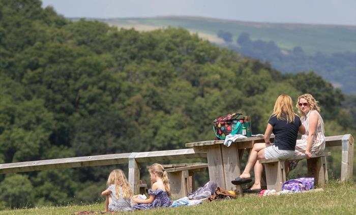 Enjoying a picnic at Llandegfedd Lake